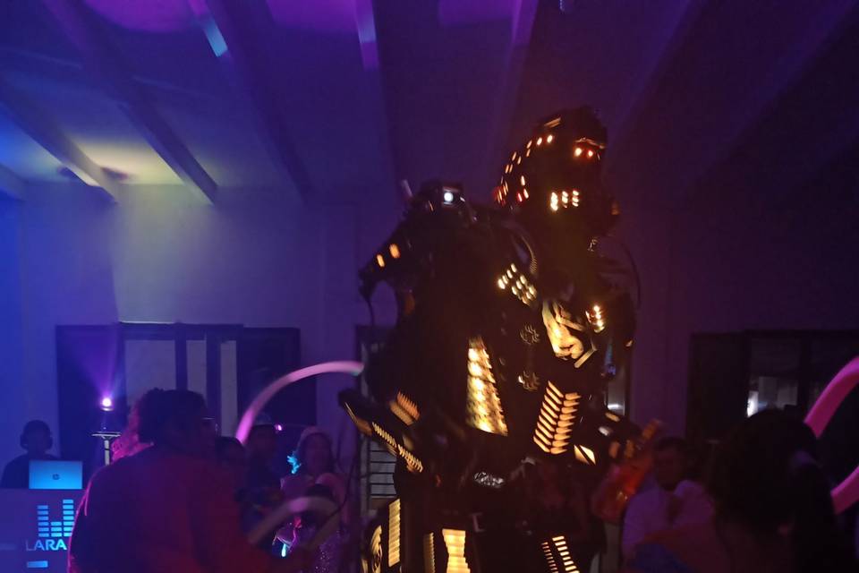 Show Robot Led