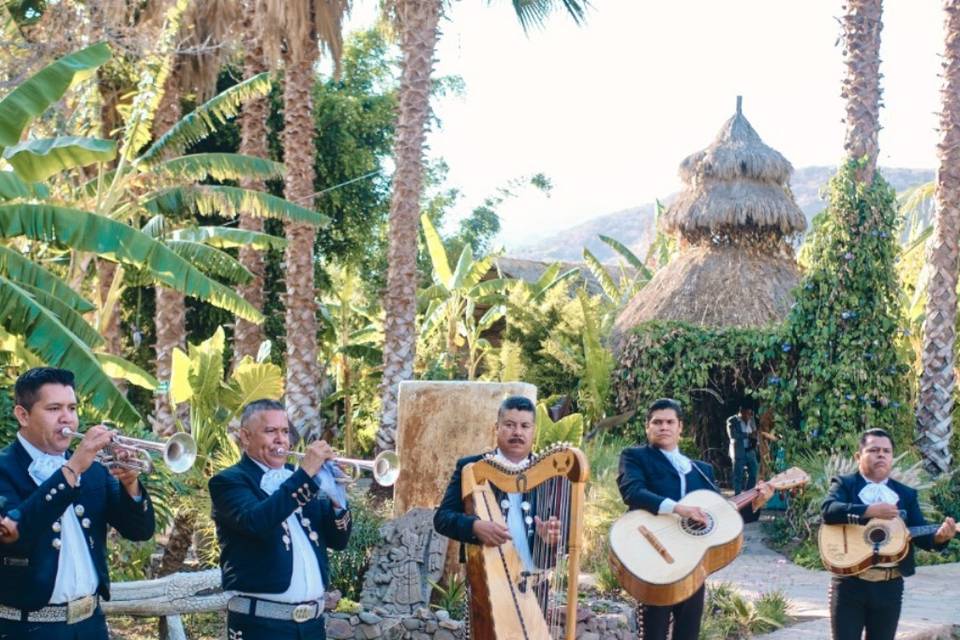 Música en vivo