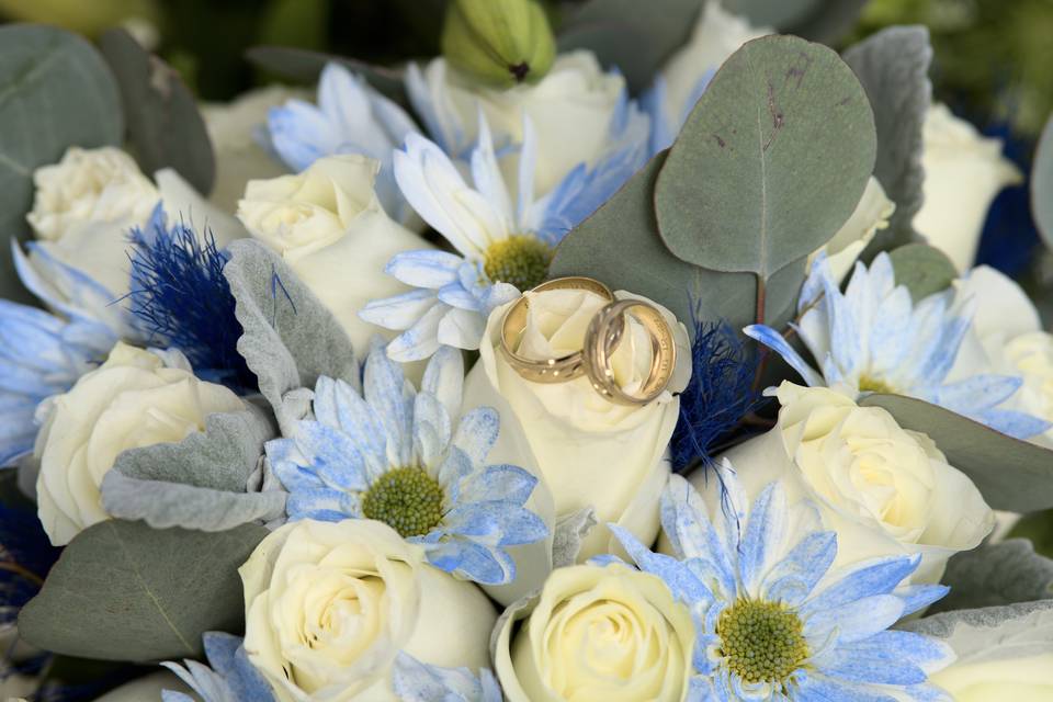 Fotos que reflejen las emociones de la fiesta