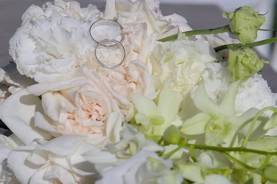 Fotos que reflejen las emociones de la fiesta