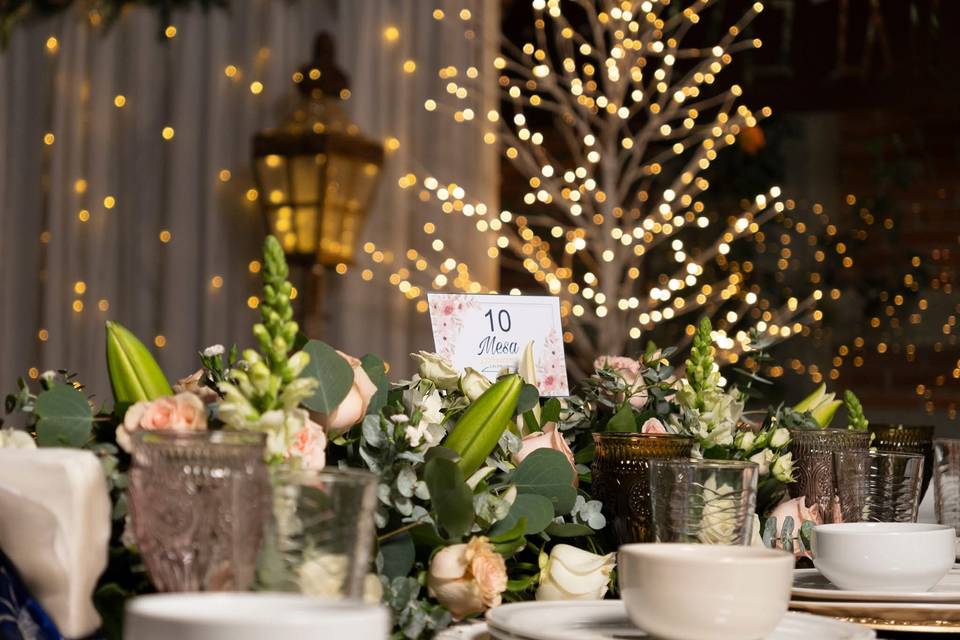 Maya González Fotógrafa