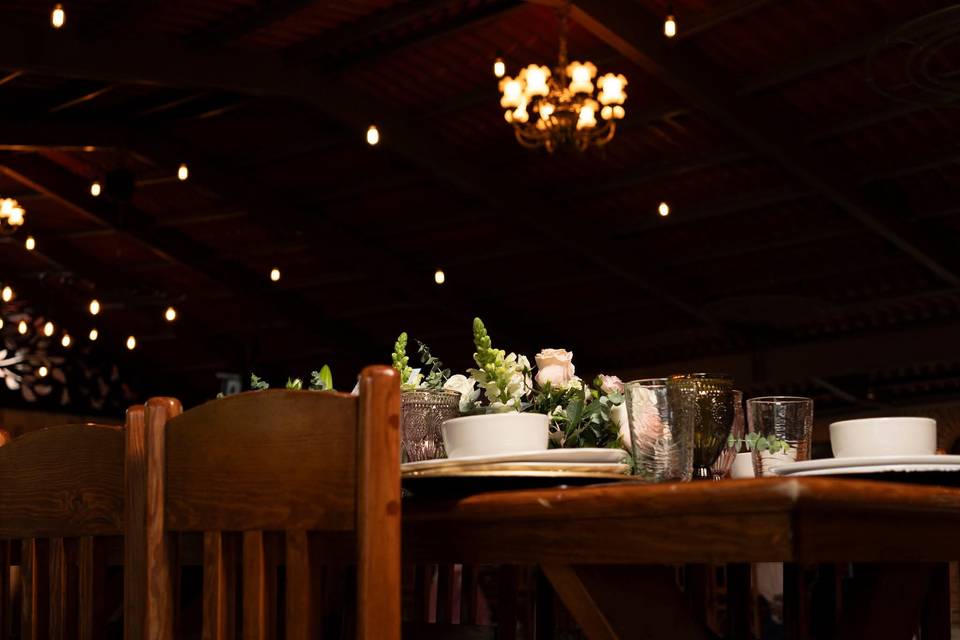 Maya González Fotógrafa