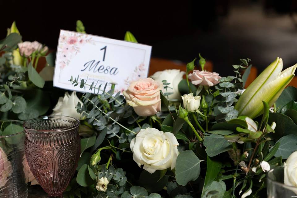 Maya González Fotógrafa