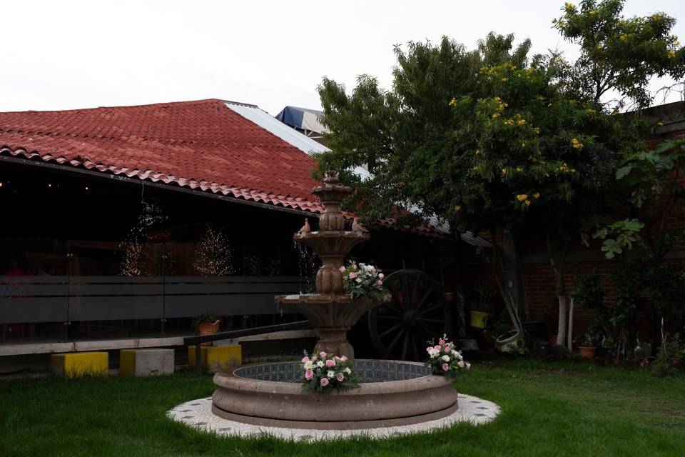 Maya González Fotógrafa