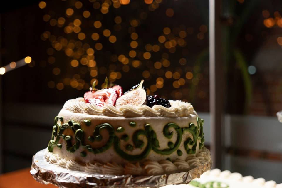 Maya González Fotógrafa