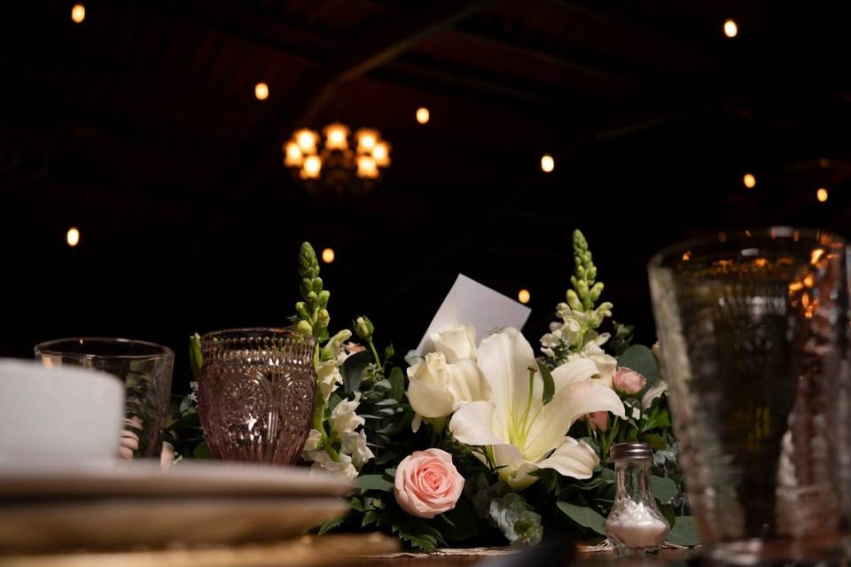 Maya González Fotógrafa