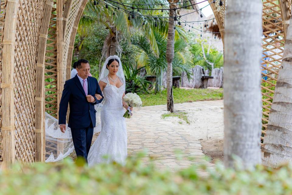 Bodas