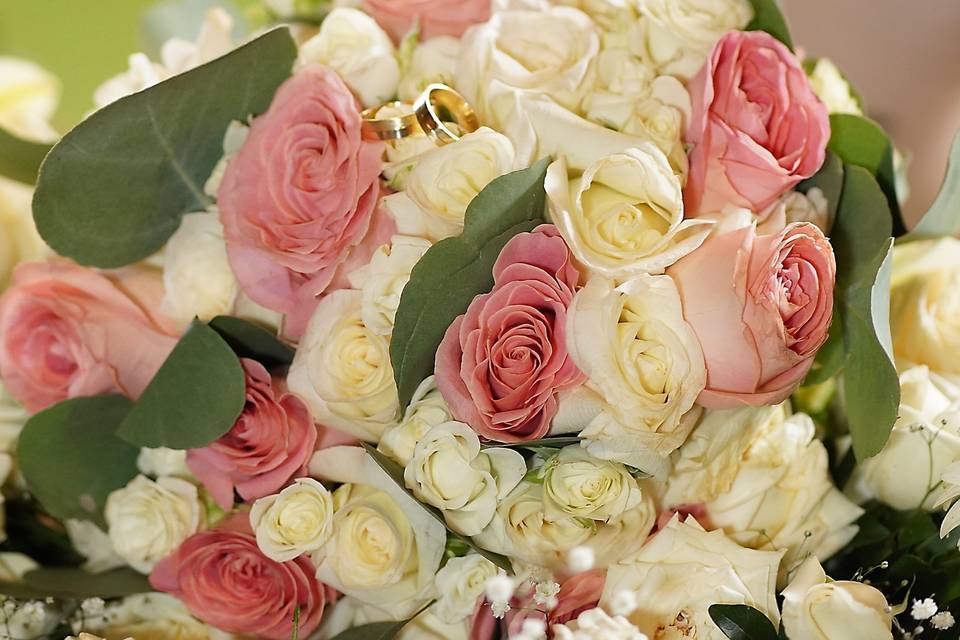 Fotos que reflejen las emociones de la fiesta