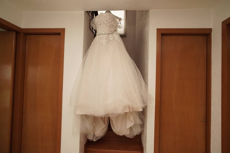 Fotos que reflejen las emociones de la fiesta