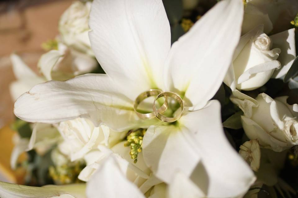 Fotos que reflejen las emociones de la fiesta
