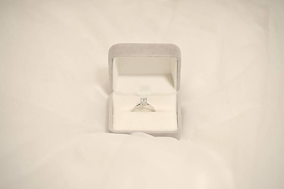 Fotos que reflejen las emociones de la fiesta