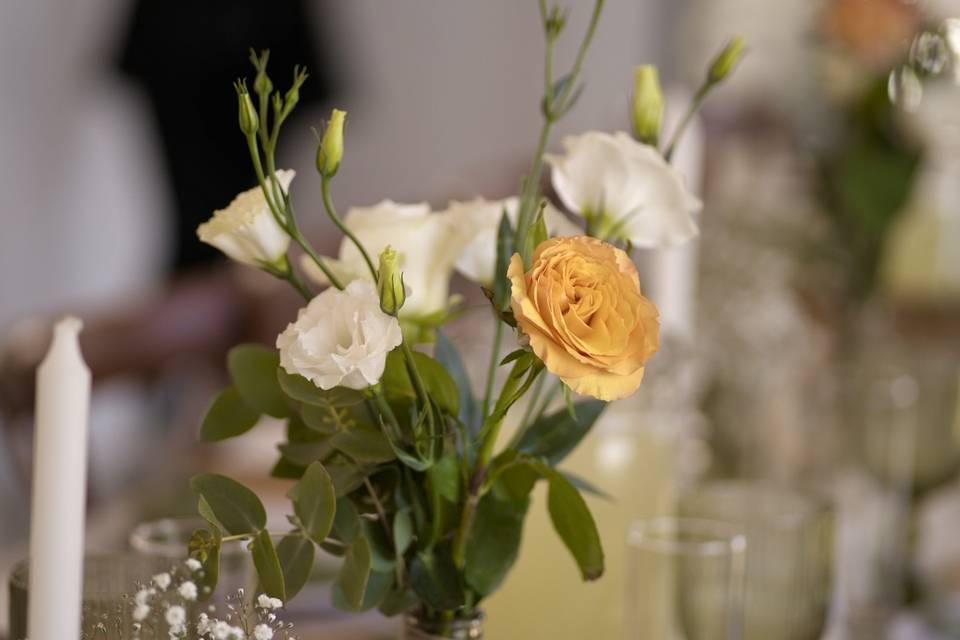 Fotos que reflejen las emociones de la fiesta