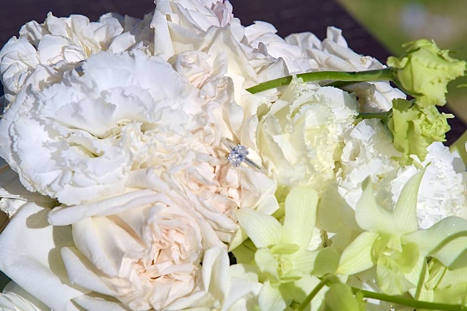 Fotos que reflejen las emociones de la fiesta