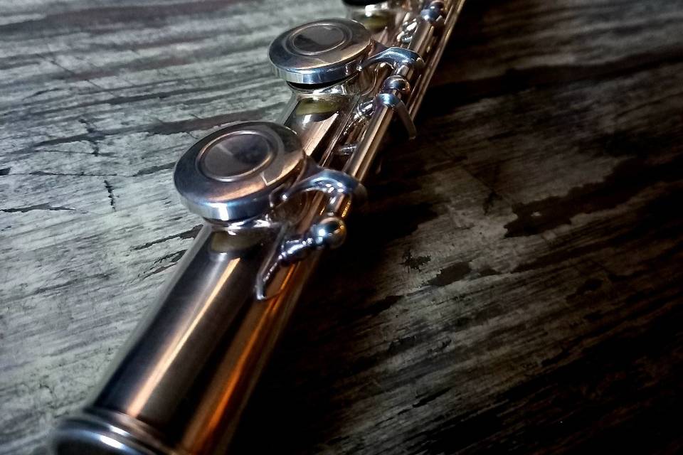 Música para eventos sociales