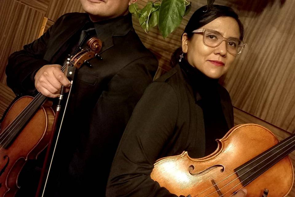 Música para eventos sociales