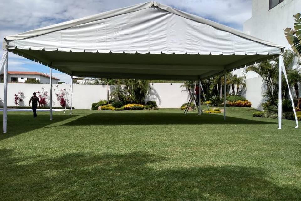 Carpa en jardín