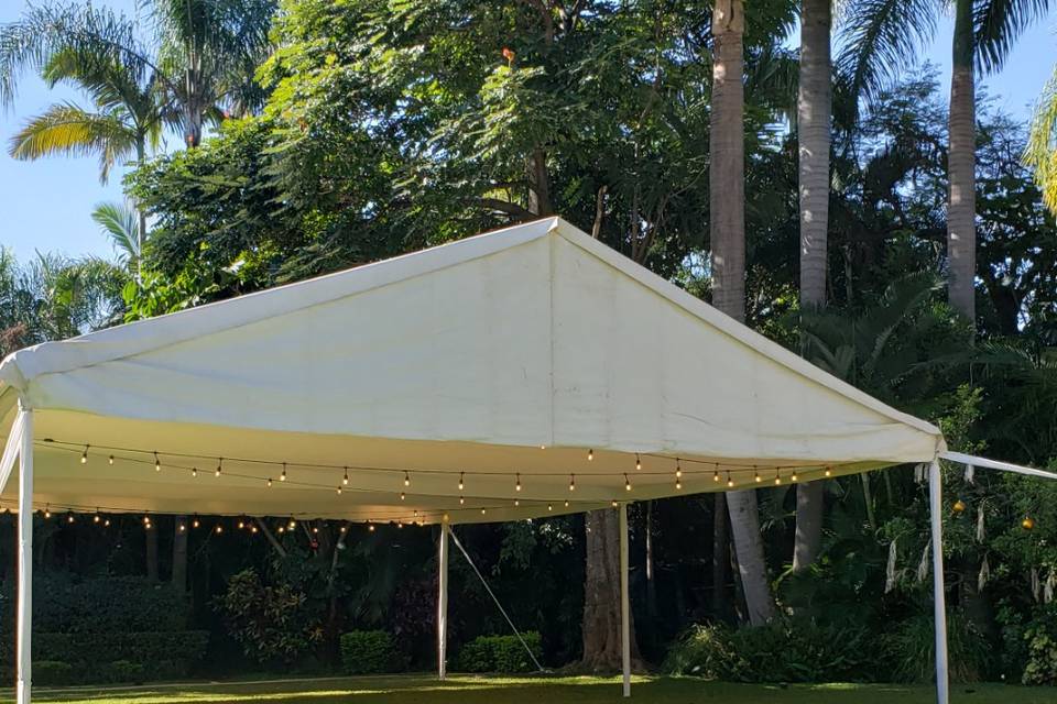 Carpa con luces vintage