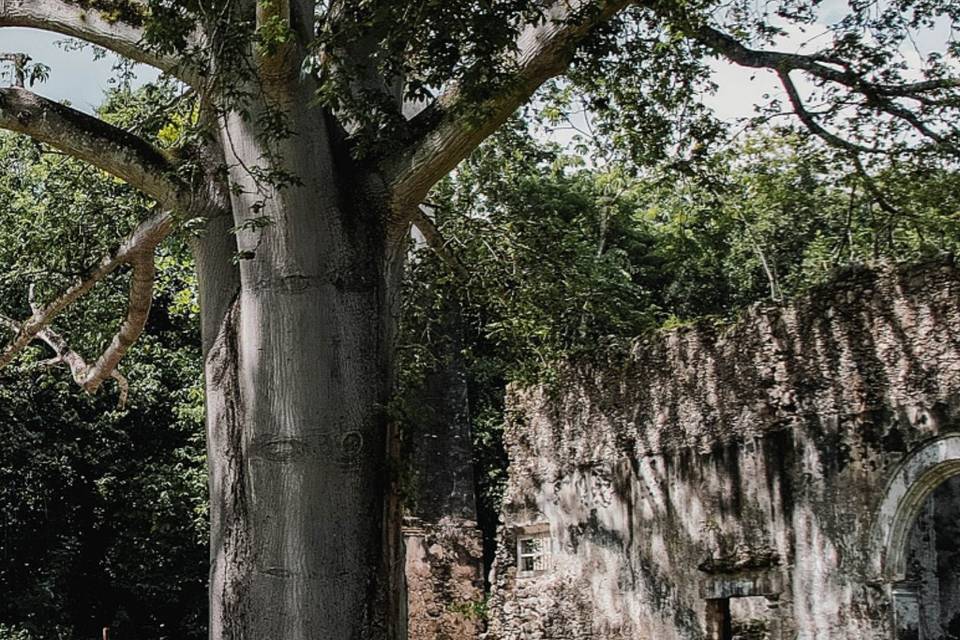 Haciendas de Campeche