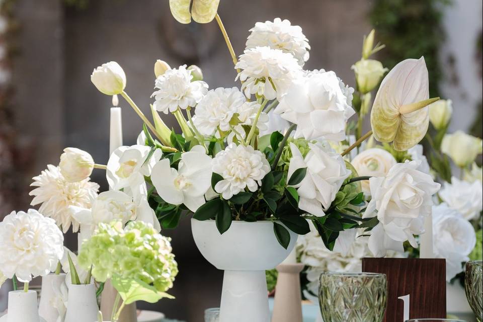 Hotel Tropicana Wedding