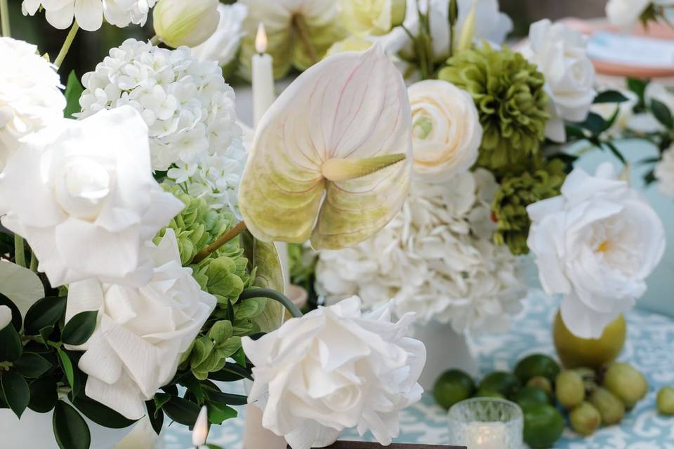 Hotel Tropicana Wedding
