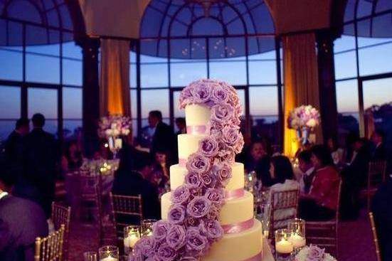 Ank Proboda