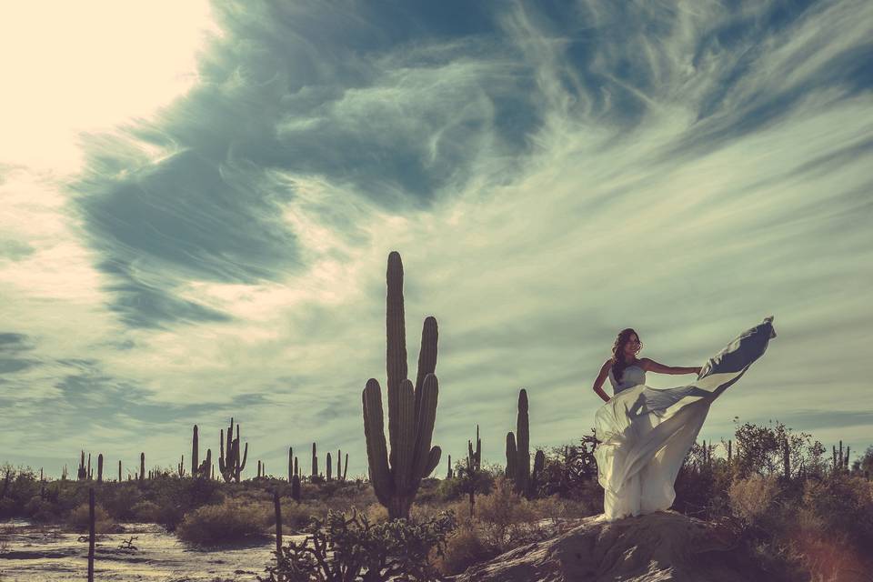 Trash the dress