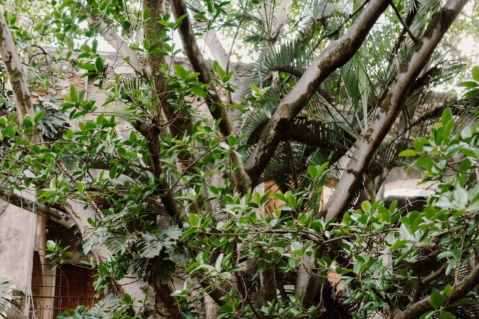 Hacienda santa cruz vista aleg