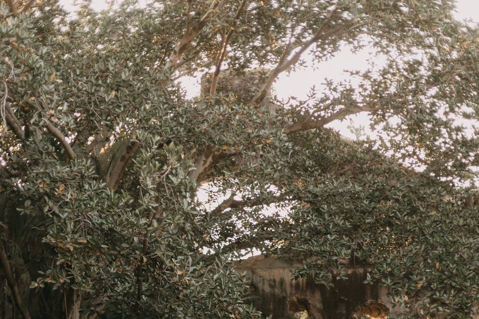 Hacienda santa cruz vista aleg