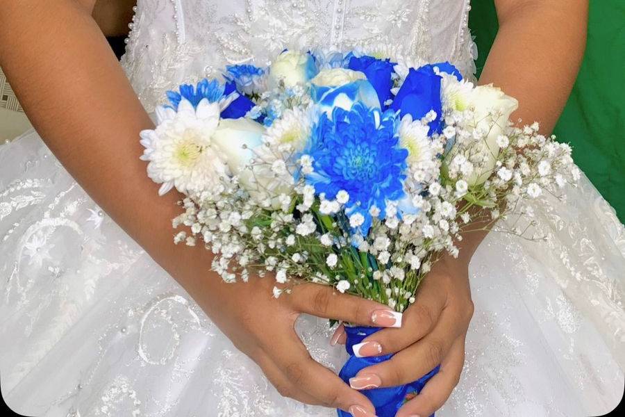 Novia sofisticada