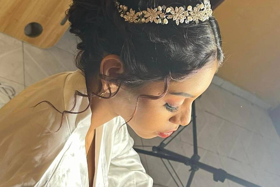 Novia sofisticada