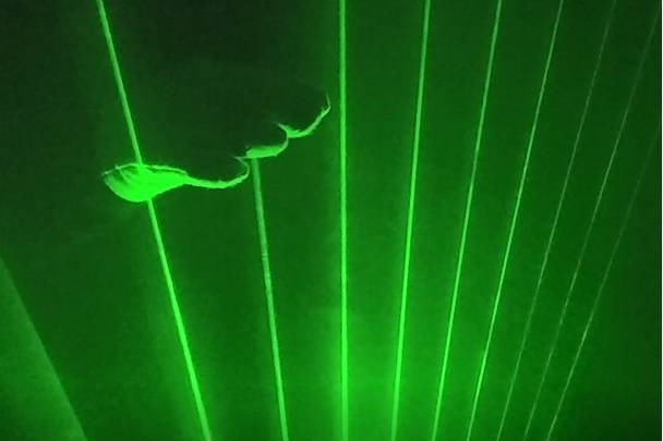 Edm live tribute