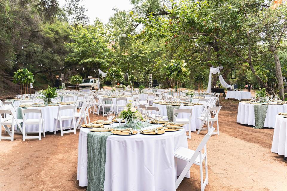 Bosque exclusivo en ensenada
