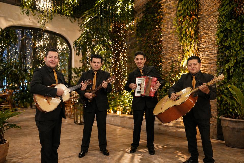 Yollia Música