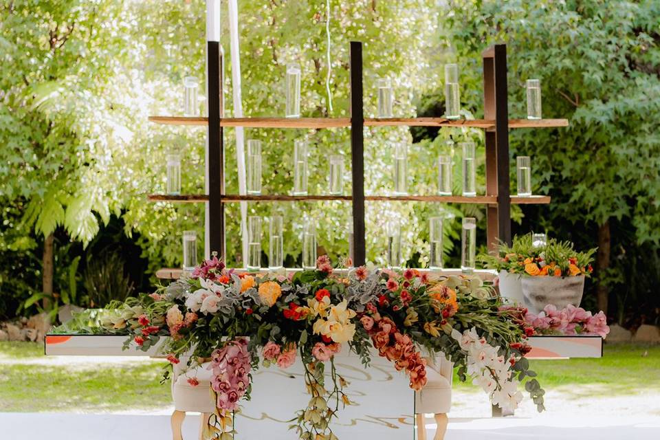 Orquídeas