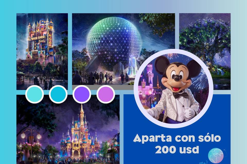 Paquetes Disney