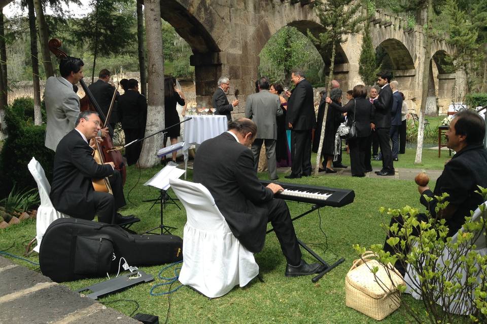 Recepción boda