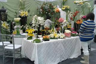 Romance Floral Eventos