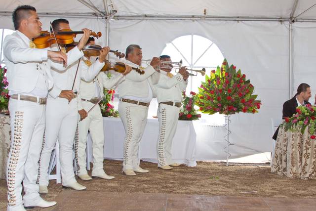 Recepción