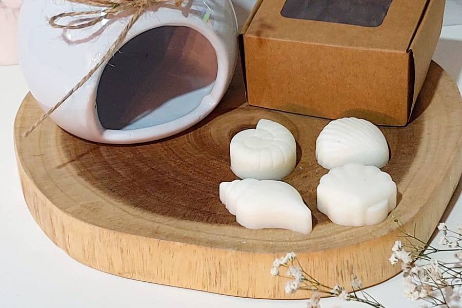 Kit quemador de cera y waxmelt