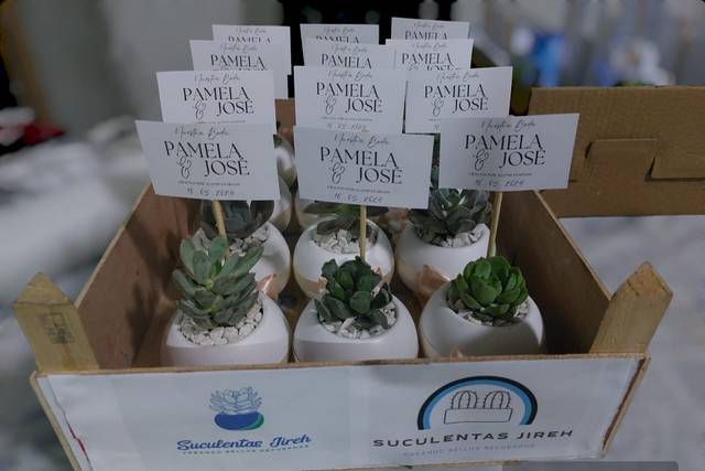 Maceta redonda con suculentas