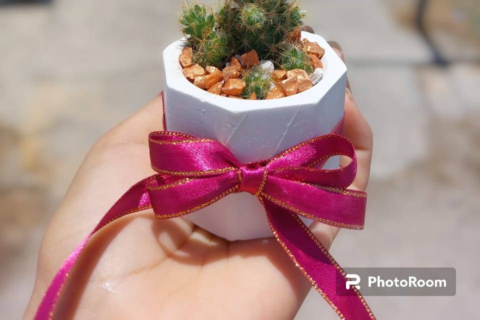 Mini maceta cactus