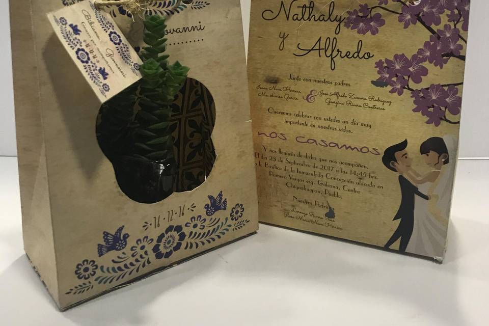 Suculentas como invitación