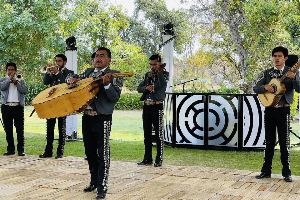 Mariachi