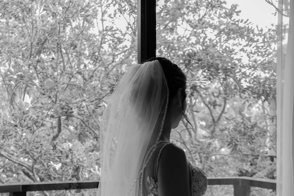 B&W Veil