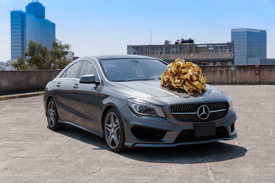 Mercedes Benz con chófer