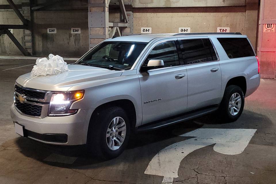 Suburban plta con moño