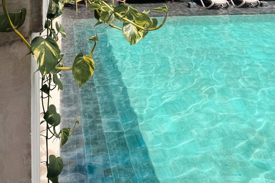Piscina.