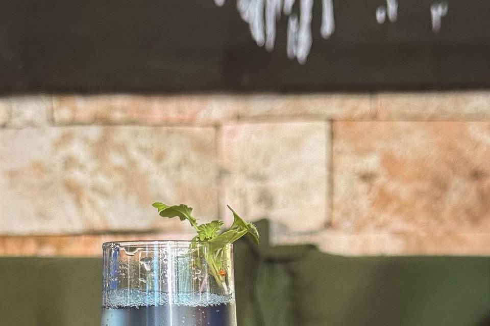 Bebidas.