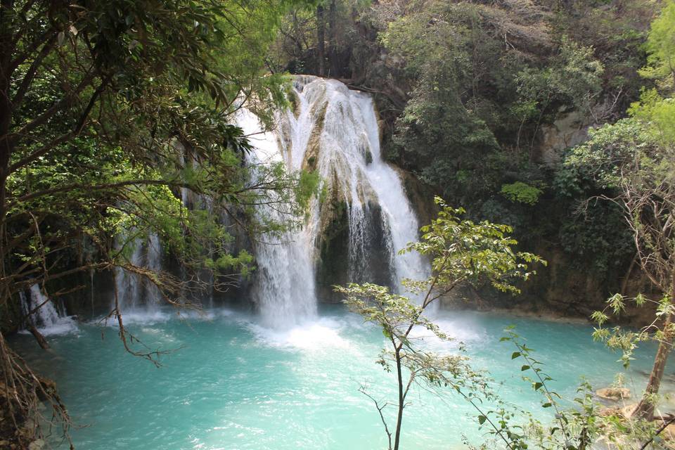 Naturaleza