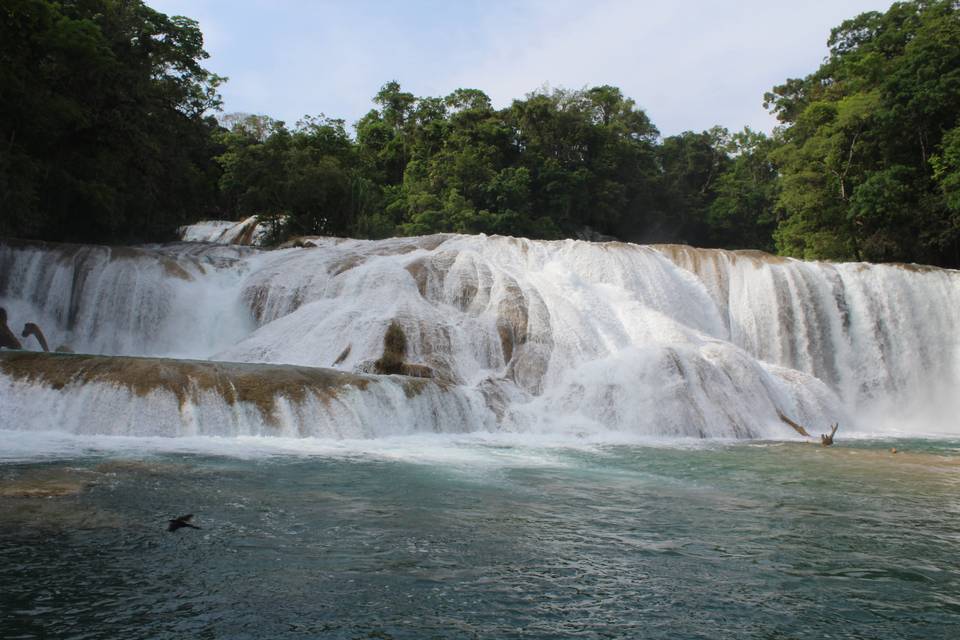 Mexico